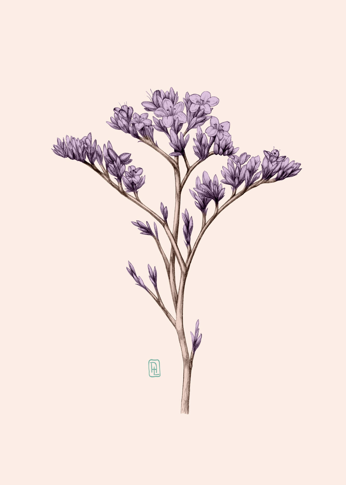 Illustration Anne Løvenskjold