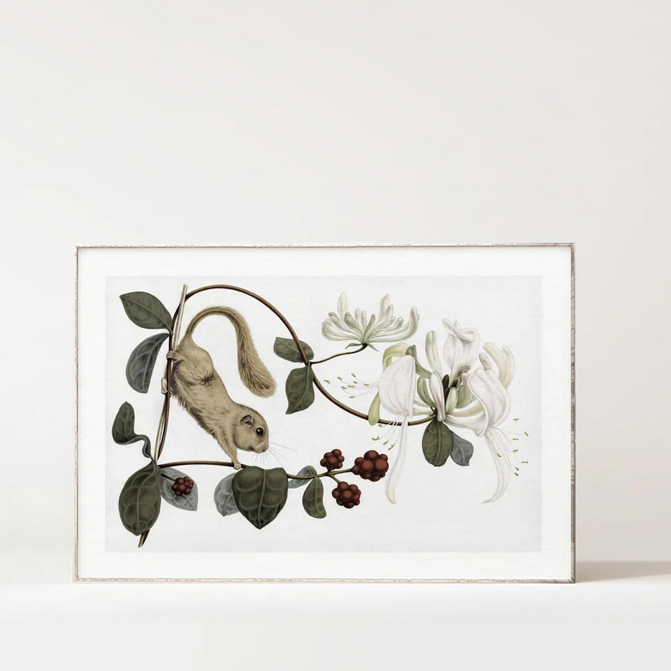Illustration Anne Løvenskjold
