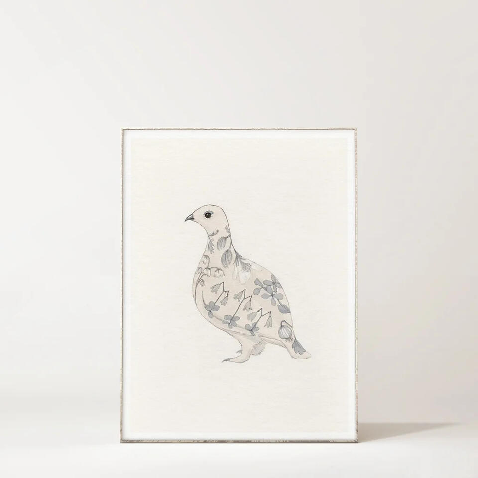 Illustration Anne Løvenskjold