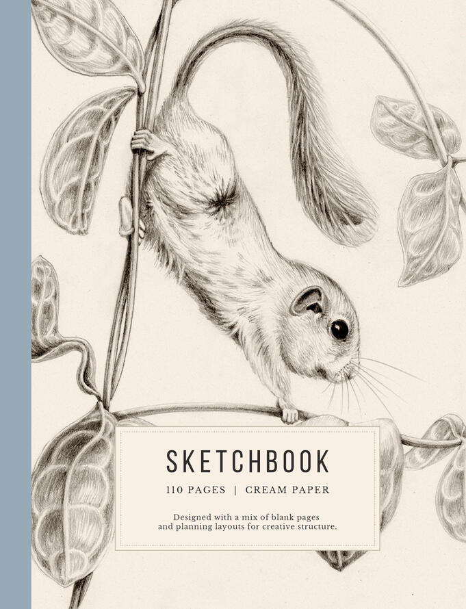 sketchcbook with hazel dormouse on honeysuckle lonicera nature sketching Anne Løvenskjold